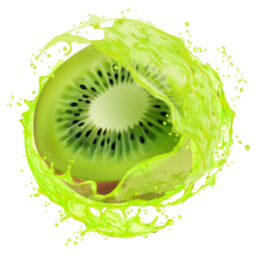 KIWI4D